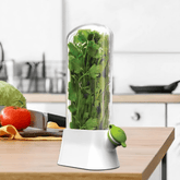 Airtight Transparent Herb Storage Box with Water Reservoir
