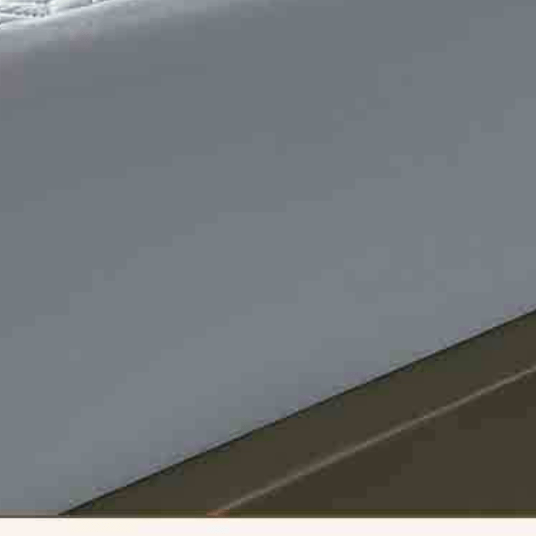 Feather Touch Quilted Bed Sheets With 2-Pillow Covers