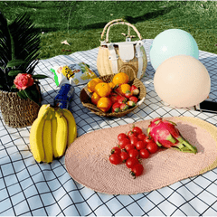 Eco Comfort Picnic Blanket