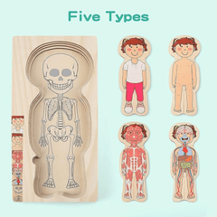 Educational Wooden Body Parts Puzzle