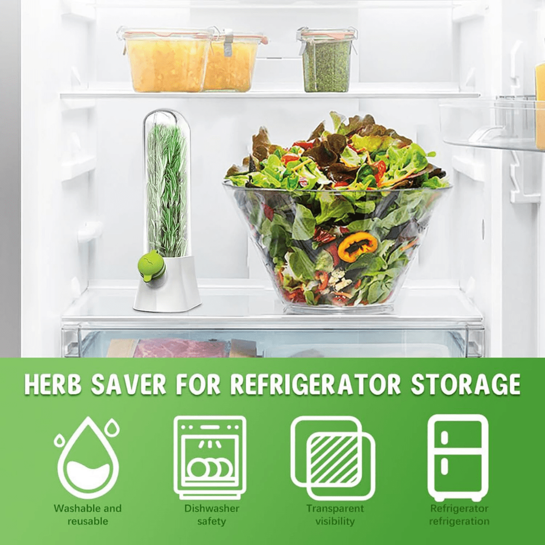 Airtight Transparent Herb Storage Box with Water Reservoir