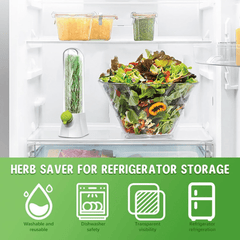 Airtight Transparent Herb Storage Box with Water Reservoir