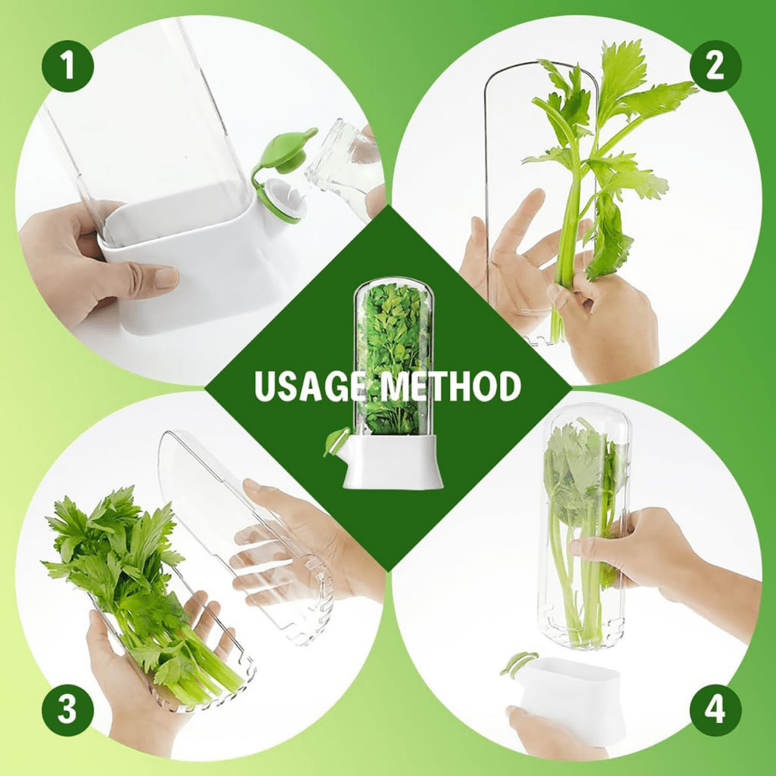 Airtight Transparent Herb Storage Box with Water Reservoir