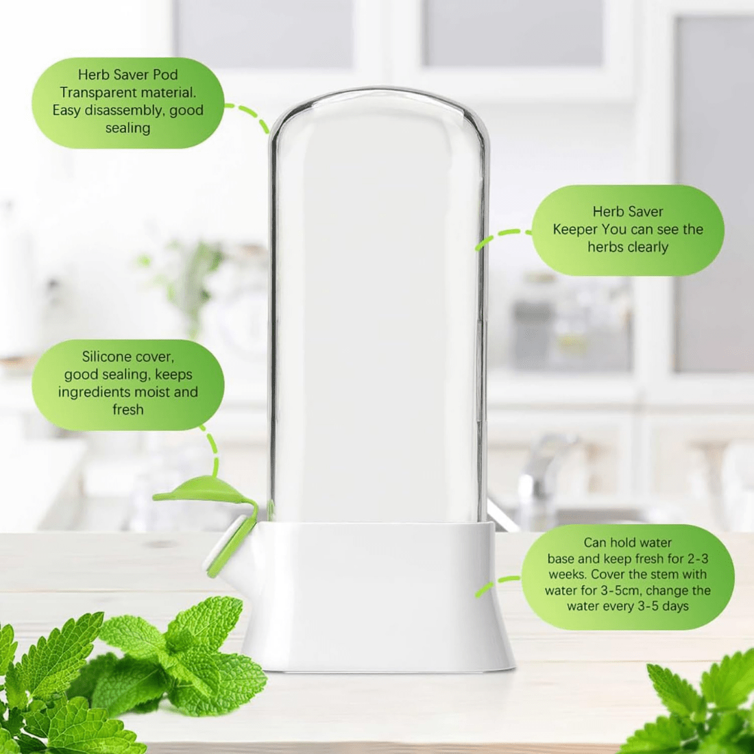 Airtight Transparent Herb Storage Box with Water Reservoir