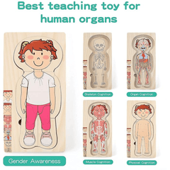 Educational Wooden Body Parts Puzzle