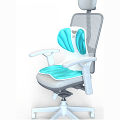 Ergonomic Waist and Back Support Cushion (36cm)