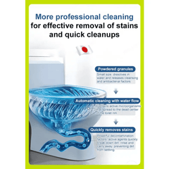 Auto Toilet Cleaning Basket