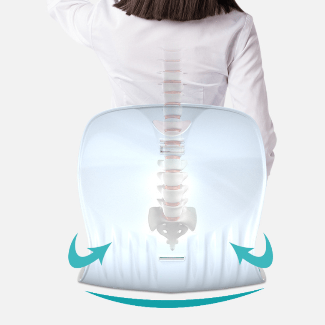 Ergonomic Waist and Back Support Cushion (36cm)
