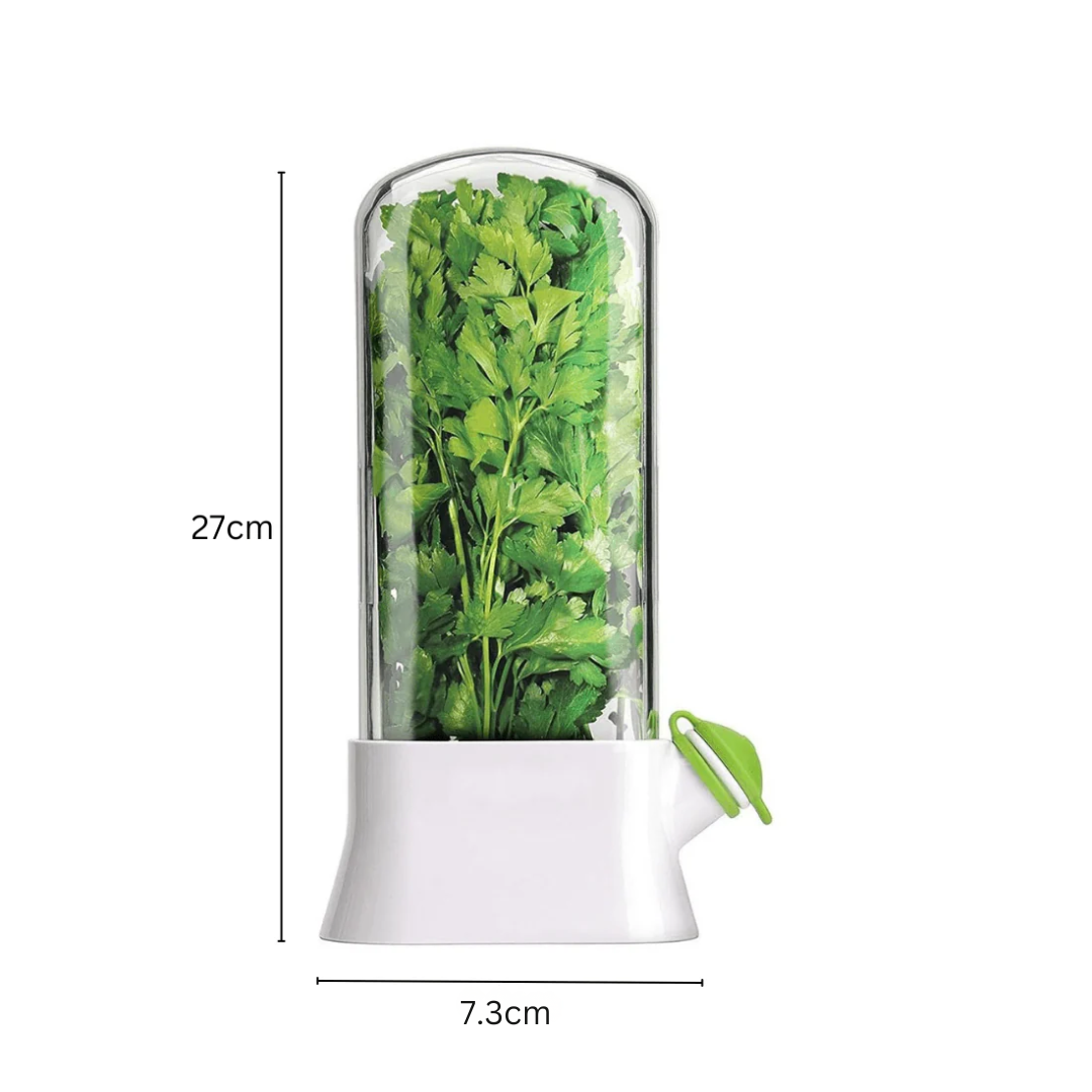 Airtight Transparent Herb Storage Box with Water Reservoir