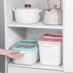 Eco Store Kitchen Organizer